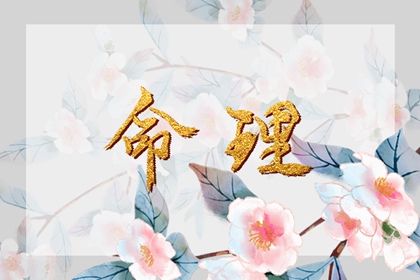 万年历 中国万年历黄历 今日万年历查询