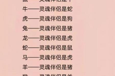02年属龙跟什么属相配,02年属龙的最佳配偶属相推荐