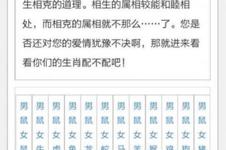 32岁属什么生肖相配（32岁与哪些生肖最契合）