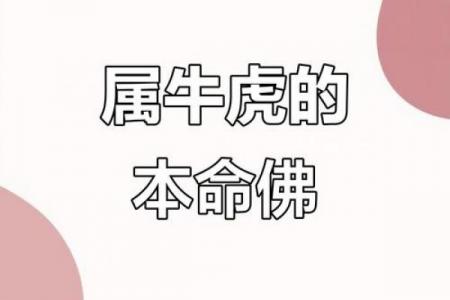 属牛虎和属牛婚姻相配吗,牛虎夫妻之间的婚姻契合度如何