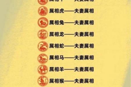 02年蛇属什么相配呢男,02年蛇与哪些生肖最相配男士
